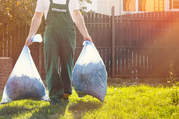 Shed Removal in Kenosha, WI